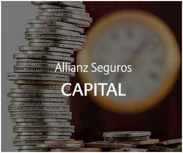 Allianz Capital